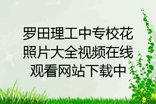 罗田理工中专校花照片大全视频在线观看网站下载中