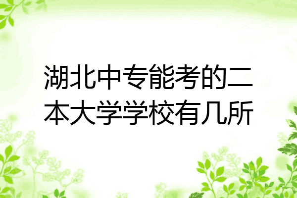 湖北中专能考的二本大学学校有几所