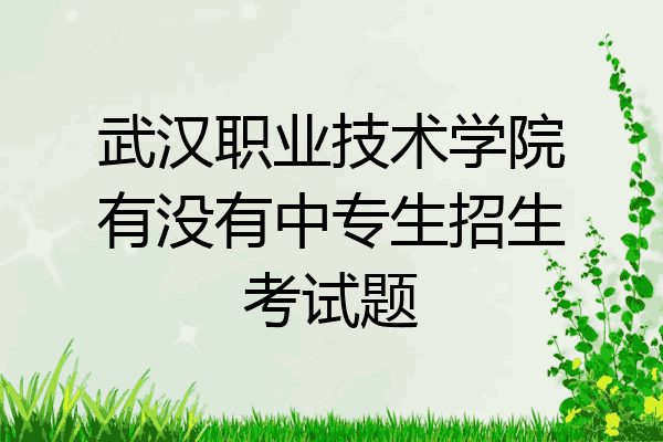 武汉职业技术学院有没有中专生招生考试题