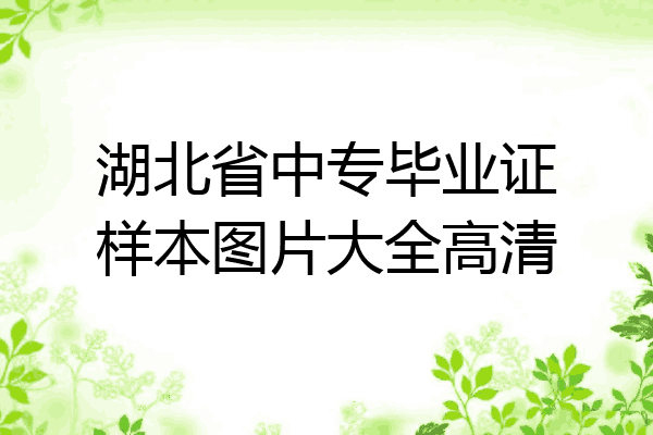 湖北省中专毕业证样本图片大全高清