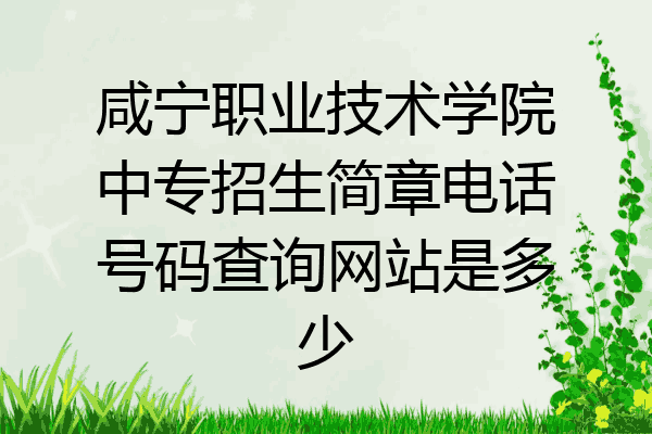 咸宁职业技术学院中专招生简章电话号码查询网站是多少