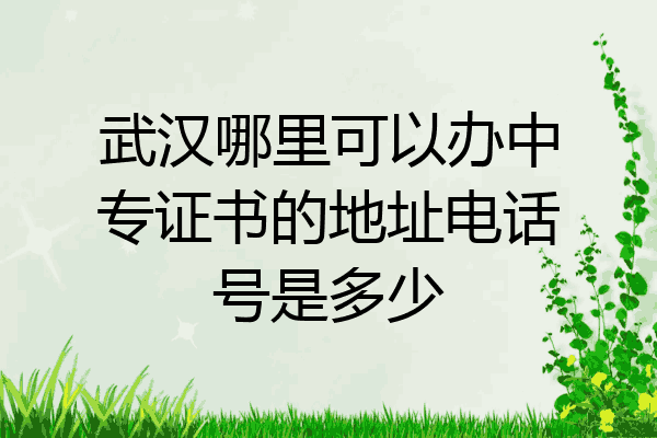 武汉哪里可以办中专证书的地址电话号是多少