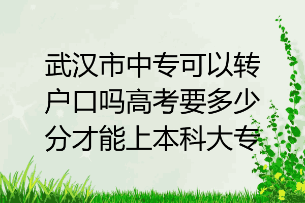 武汉市中专可以转户口吗高考要多少分才能上本科大专