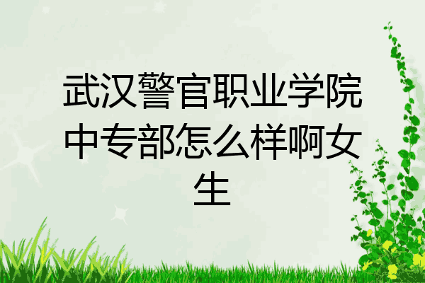 武汉警官职业学院中专部怎么样啊女生