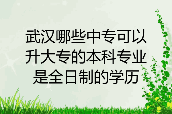 武汉哪些中专可以升大专的本科专业是全日制的学历
