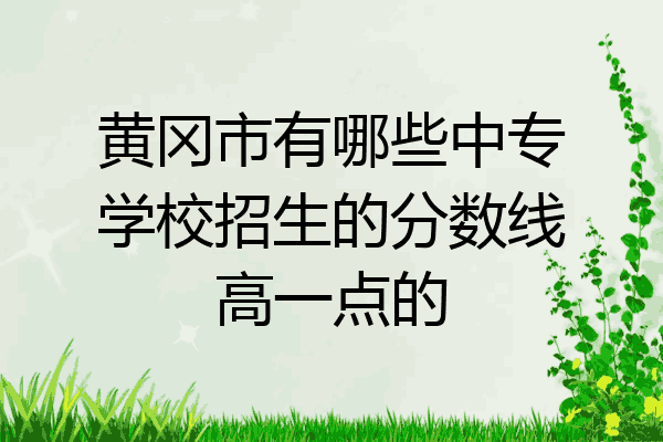 黄冈市有哪些中专学校招生的分数线高一点的