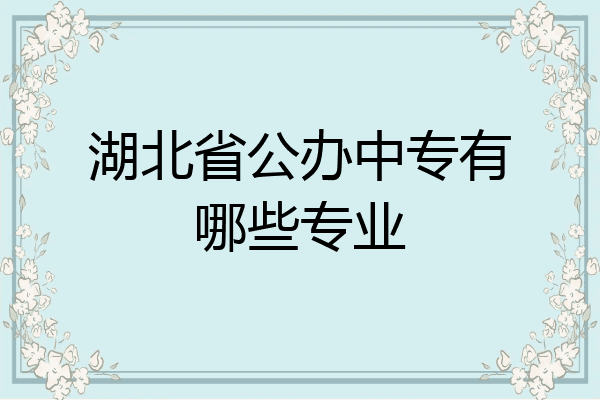 湖北省公办中专有哪些专业