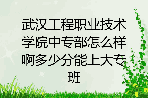 武汉工程职业技术学院中专部怎么样啊多少分能上大专班