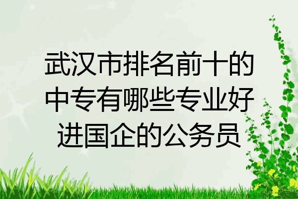 武汉市排名前十的中专有哪些专业好进国企的公务员