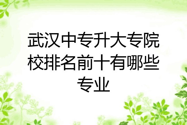 武汉中专升大专院校排名前十有哪些专业