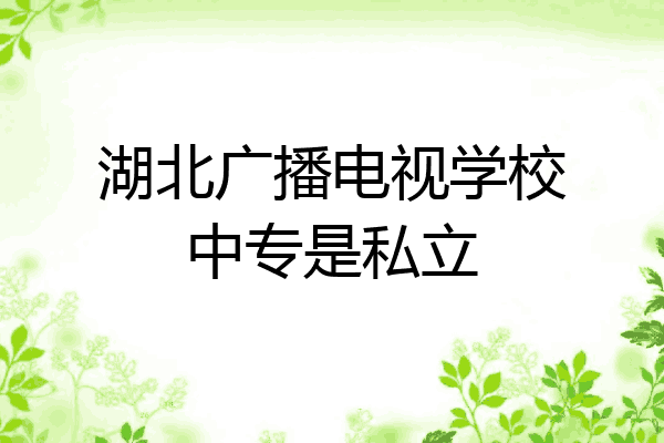 湖北广播电视学校中专是私立