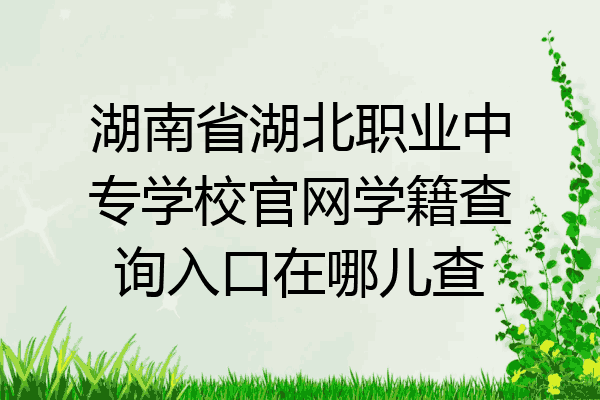 湖南省湖北职业中专学校官网学籍查询入口在哪儿查