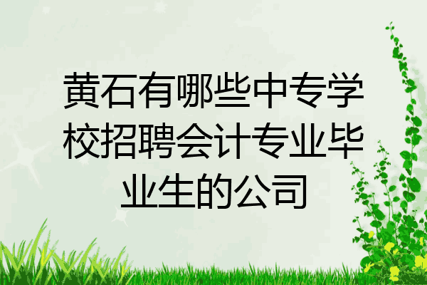 黄石有哪些中专学校招聘会计专业毕业生的公司