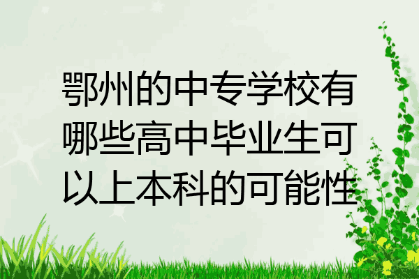 鄂州的中专学校有哪些高中毕业生可以上本科的可能性