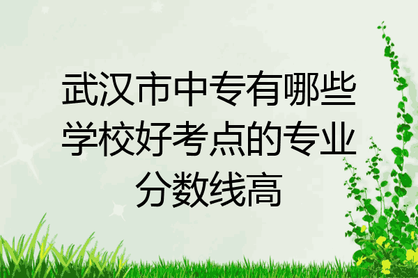 武汉市中专有哪些学校好考点的专业分数线高