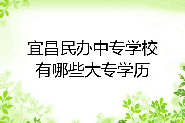宜昌民办中专学校有哪些大专学历