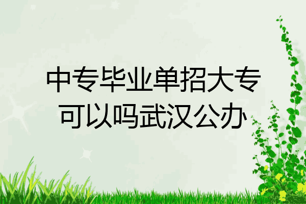 中专毕业单招大专可以吗武汉公办