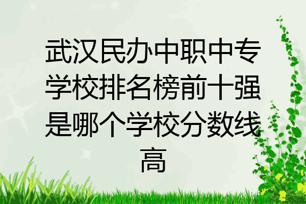 武汉民办中职中专学校排名榜前十强是哪个学校分数线高