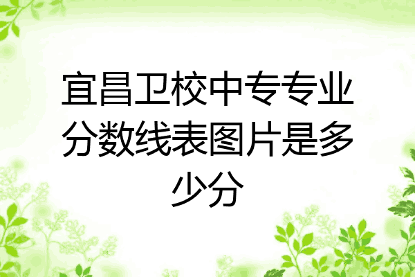 宜昌卫校中专专业分数线表图片是多少分