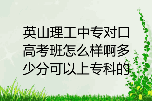 英山理工中专对口高考班怎么样啊多少分可以上专科的
