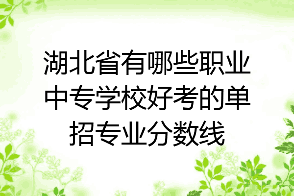 湖北省有哪些职业中专学校好考的单招专业分数线
