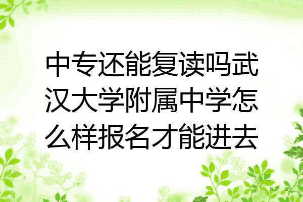 中专还能复读吗武汉大学附属中学怎么样报名才能进去