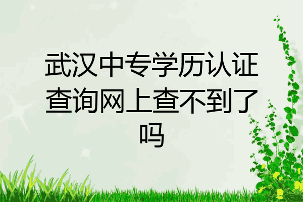 武汉中专学历认证查询网上查不到了吗