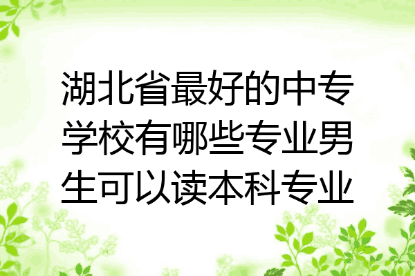 湖北省最好的中专学校有哪些专业男生可以读本科专业