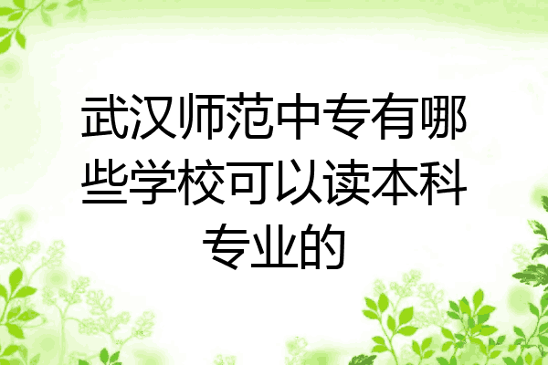 武汉师范中专有哪些学校可以读本科专业的