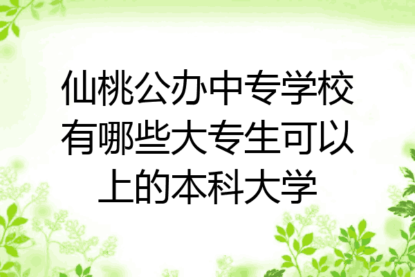 仙桃公办中专学校有哪些大专生可以上的本科大学