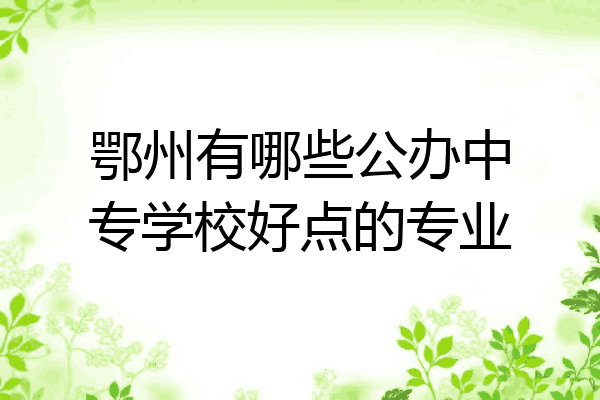 鄂州有哪些公办中专学校好点的专业