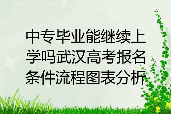 中专毕业能继续上学吗武汉高考报名条件流程图表分析
