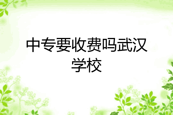 中专要收费吗武汉学校