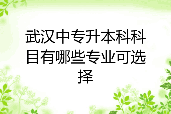 武汉中专升本科科目有哪些专业可选择