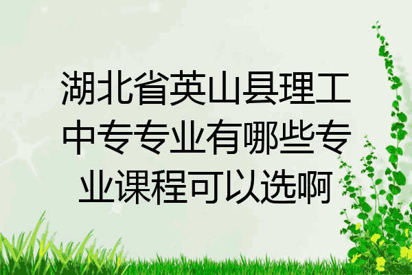 湖北省英山县理工中专专业有哪些专业课程可以选啊