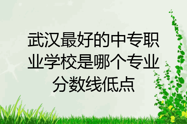 武汉最好的中专职业学校是哪个专业分数线低点