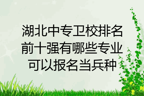 湖北中专卫校排名前十强有哪些专业可以报名当兵种