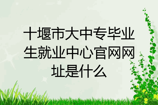 十堰市大中专毕业生就业中心官网网址是什么