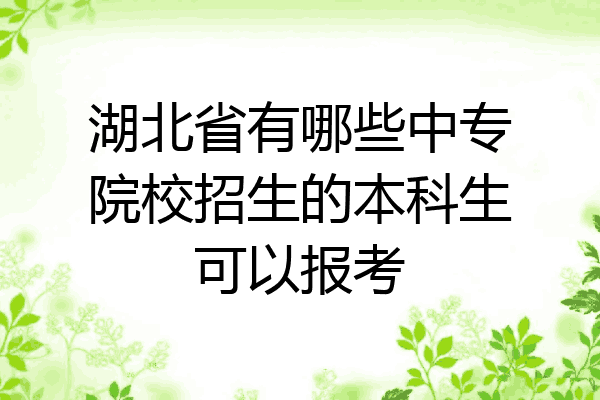 湖北省有哪些中专院校招生的本科生可以报考