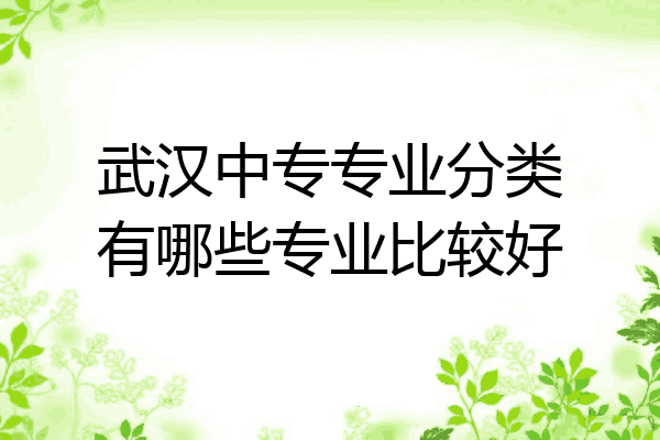 武汉中专专业分类有哪些专业比较好