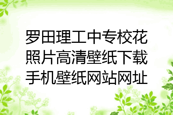 罗田理工中专校花照片高清壁纸下载手机壁纸网站网址