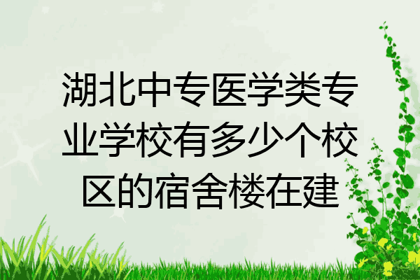 湖北中专医学类专业学校有多少个校区的宿舍楼在建