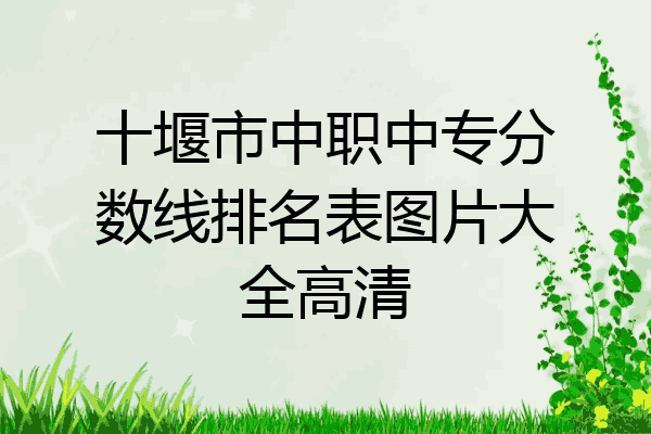 十堰市中职中专分数线排名表图片大全高清