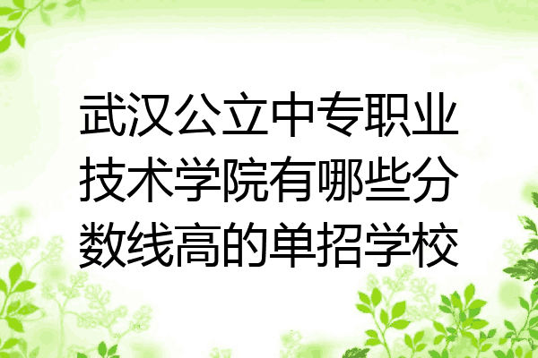 武汉公立中专职业技术学院有哪些分数线高的单招学校