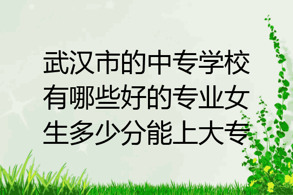 武汉市的中专学校有哪些好的专业女生多少分能上大专