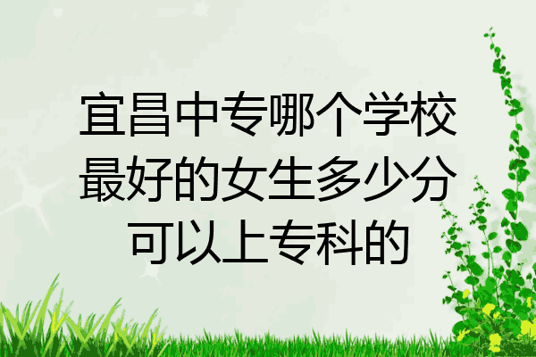 宜昌中专哪个学校最好的女生多少分可以上专科的