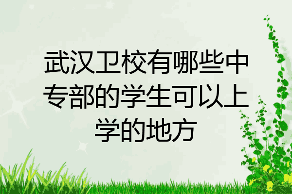 武汉卫校有哪些中专部的学生可以上学的地方