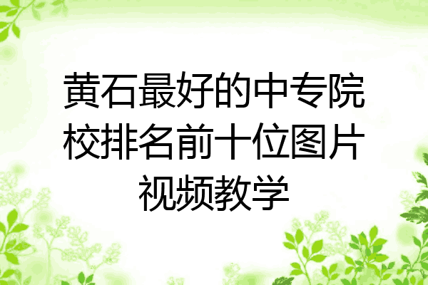 黄石最好的中专院校排名前十位图片视频教学