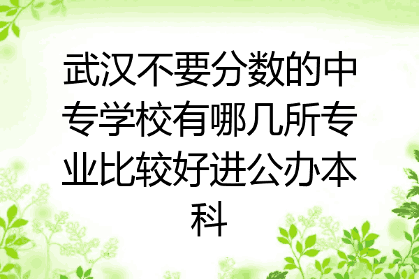武汉不要分数的中专学校有哪几所专业比较好进公办本科