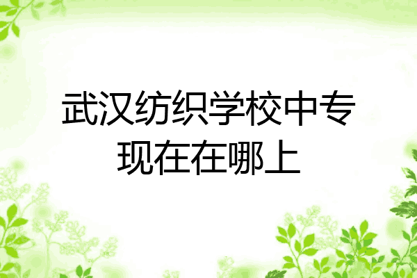 武汉纺织学校中专现在在哪上